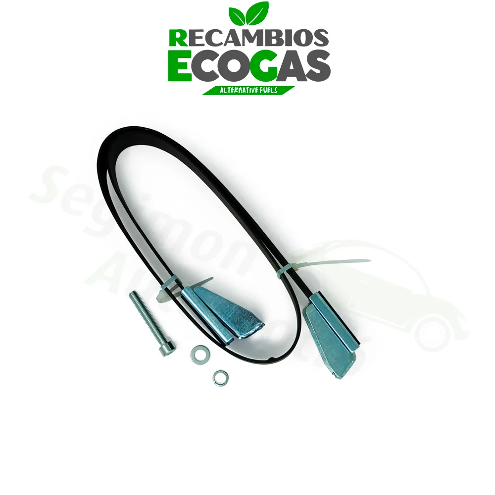 CAMPKO correa de acero inoxidable con tensor para el soporte de la botella de gas (grosor de la correa de 1,5x30mm) Cumple la norma R67.01