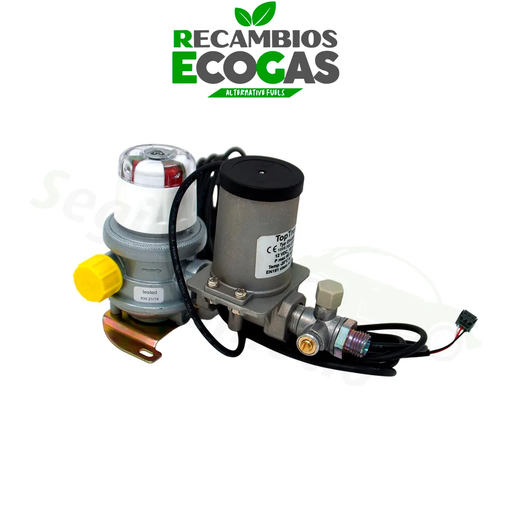 Cavagna Multimatic de dos cilindros 30 mbar 1,5 kg/h incl. válvula solenoide y de prueba