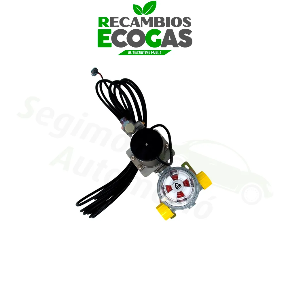 Cavagna Multimatic de dos cilindros 30 mbar 1,5 kg/h incl. válvula solenoide y de prueba