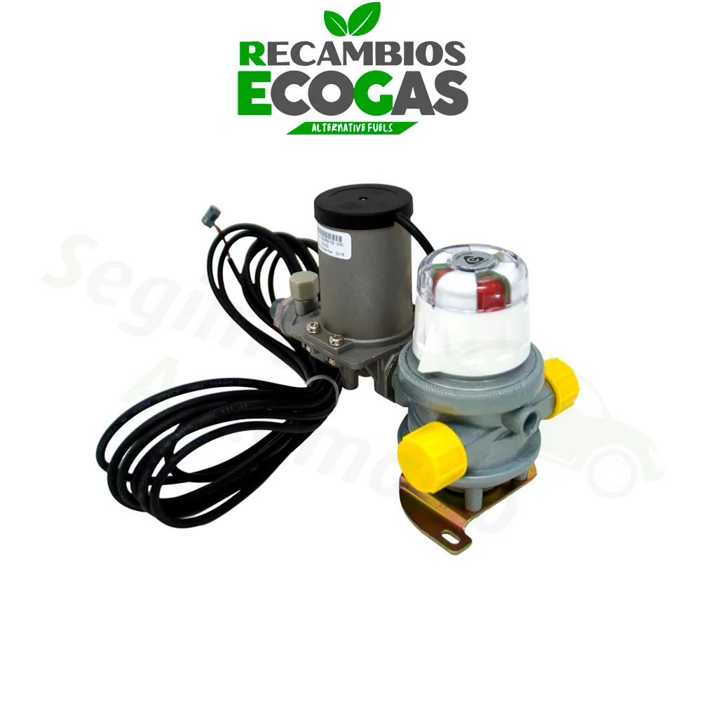 Cavagna Multimatic de dos cilindros 30 mbar 1,5 kg/h incl. válvula solenoide y de prueba