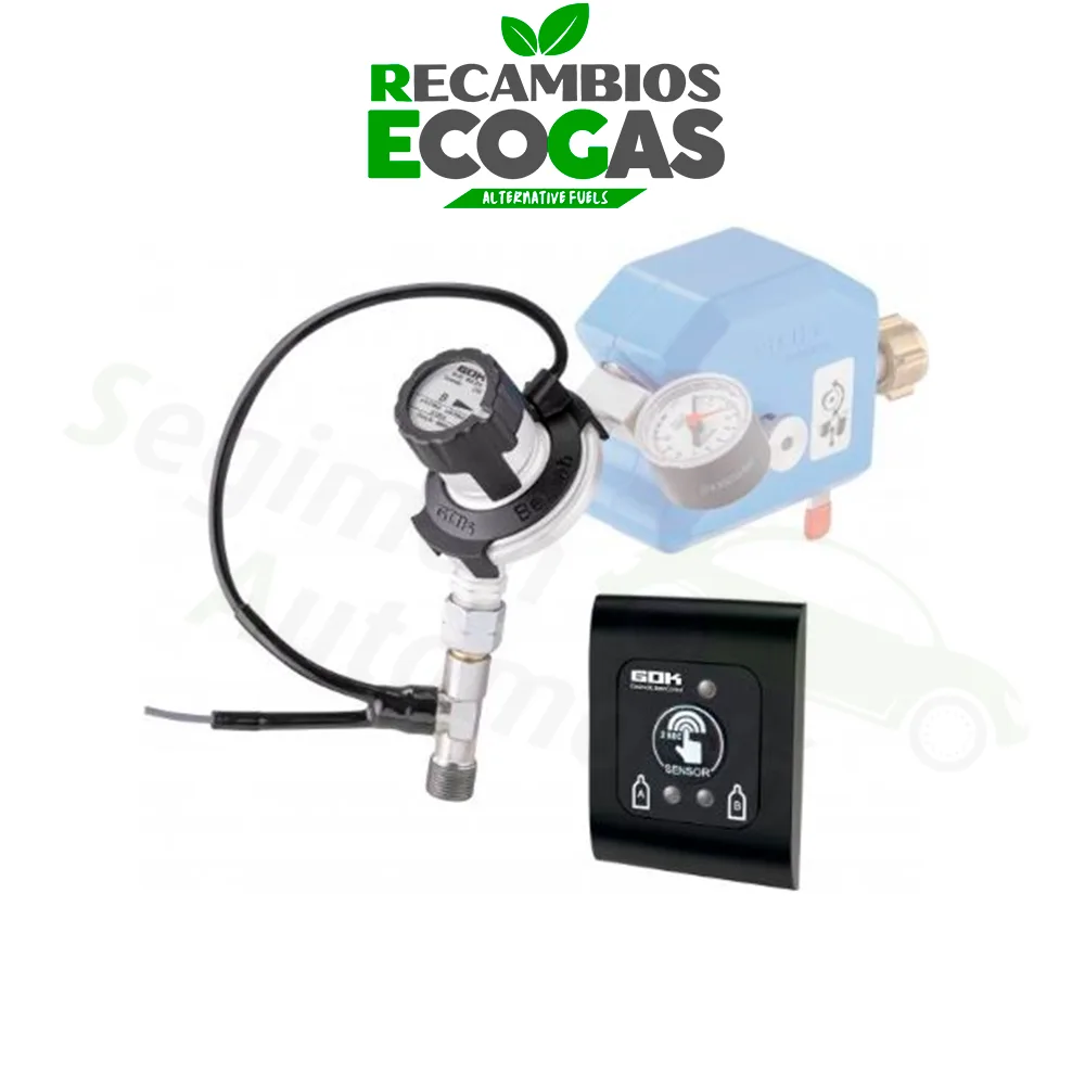 GOK-Caramatic-BasicControl-juego-completo-display-remoto-SV-png.webp GOK Caramatic BasicControl juego completo display remoto SV