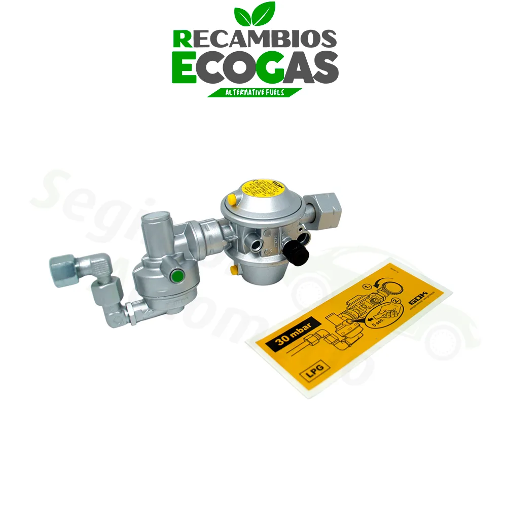 GOK-Caramatic-DriveOne-CS-30-mbar-15-kg-2-png.webp GOK Caramatic DriveOne CS 30 mbar 1,5 kg/h - posición 105°