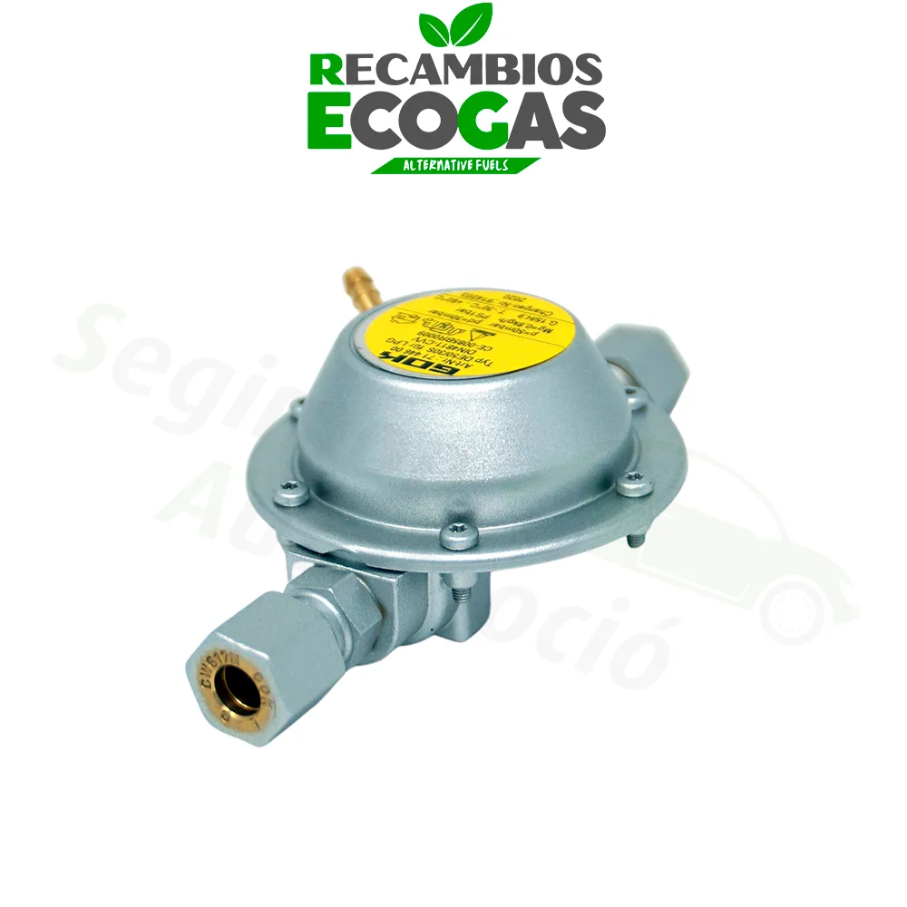 GOK regulador de presión baja 50 mbar ->30 mbar 0,8 kg/h 2 x RVS 8 mm