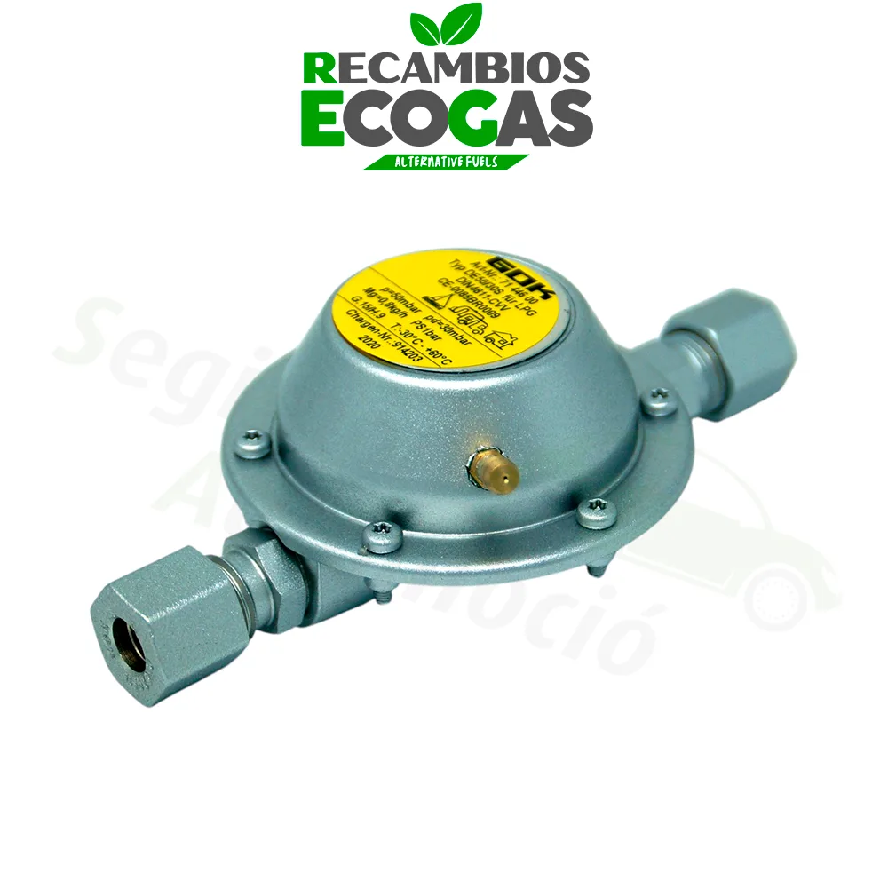 GOK regulador de presión baja 50 mbar ->30 mbar 0,8 kg/h 2 x RVS 8 mm
