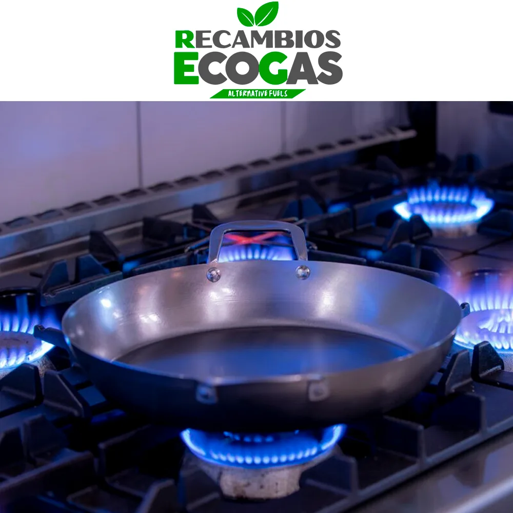 HOT WOK Paellera 30 cm de acero al carbono