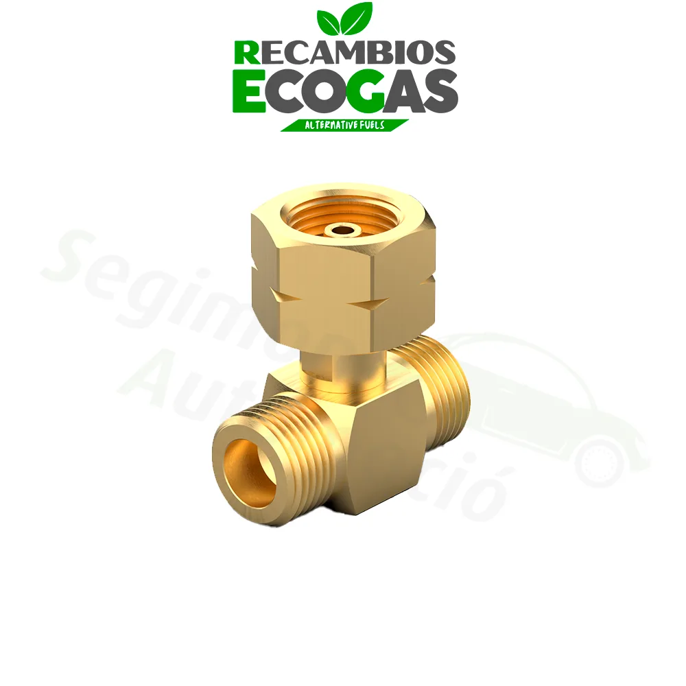 Rosca de conexión en T botella grande (GF) G.5 = W21.8 x 1/14 LH