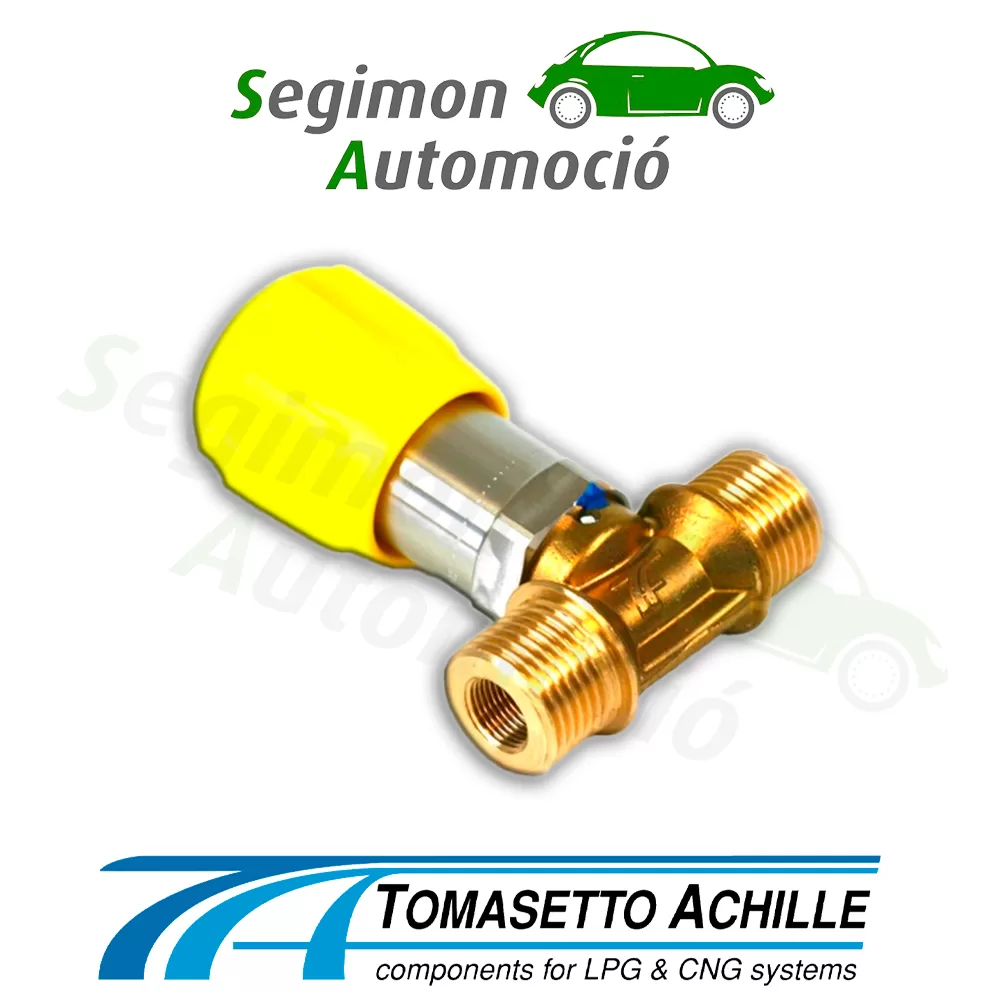 Tomasetto-boquilla-de-suministro-VM04-tipo-NGV1-T-Body-2-png.webp Tomasetto boquilla de suministro VM04 tipo NGV1 "T Body"