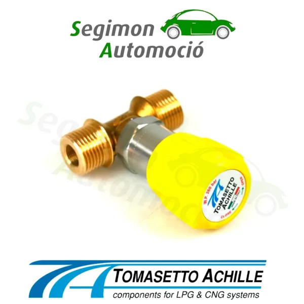 Tomasetto-boquilla-de-suministro-VM04-tipo-NGV1-T-Body-png.webp Tomasetto boquilla de suministro VM04 tipo NGV1 "T Body"